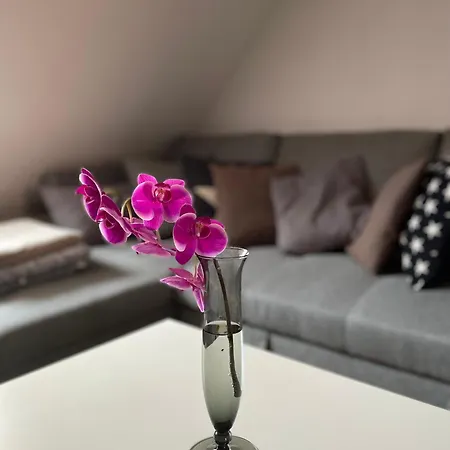 Feriendomizil Bei Barbara Apartman Wernigerode