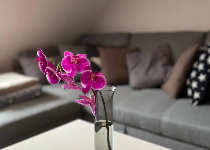 Feriendomizil Bei Barbara Lejlighed Wernigerode